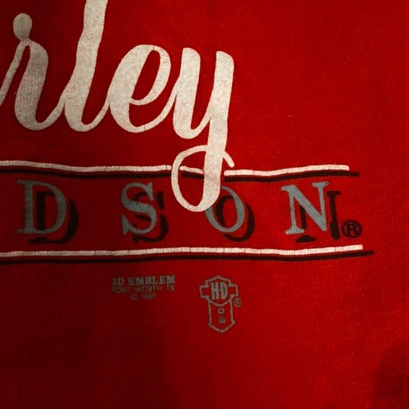 3D emblem "Harley Davidson" graphic t-shirt - Picture 5 of 6